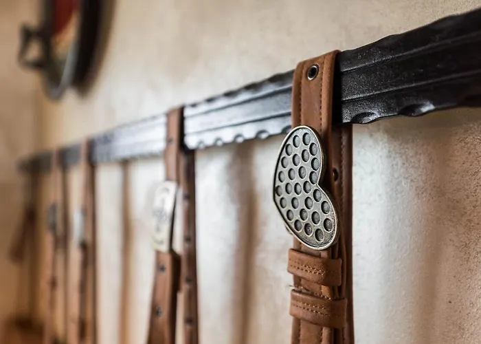 Panoramic Comfort & Vintage Designer *